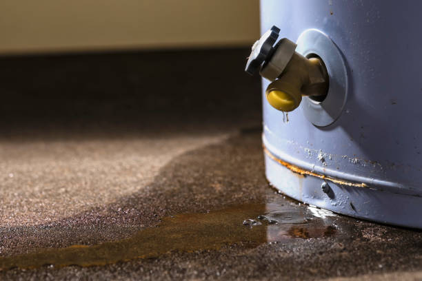 Trusted Tubac, AZ Water damage restoration Experts