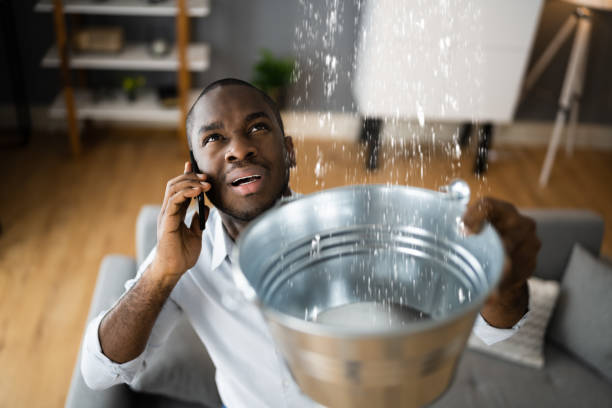 Best Flood restoration services  in Tubac, AZ