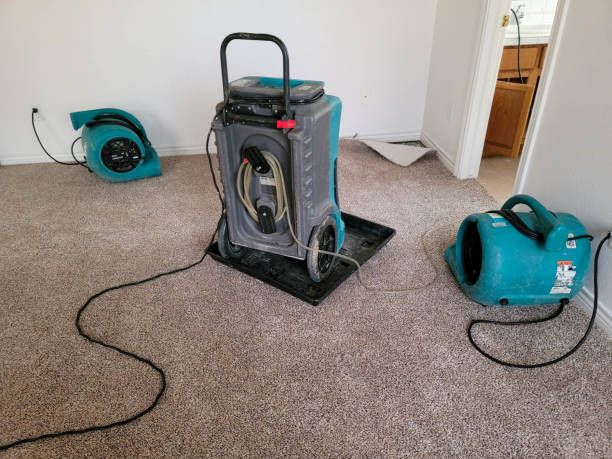 Best Fire Damage Restoration  in Tubac, AZ