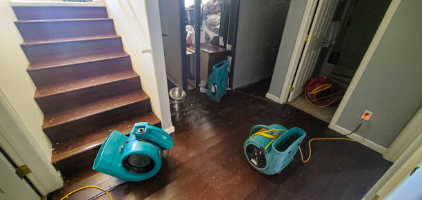 Best Water damage restoration services  in Tubac, AZ