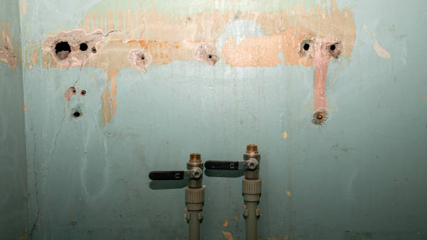 Best 24/7 water damage repair  in Tubac, AZ