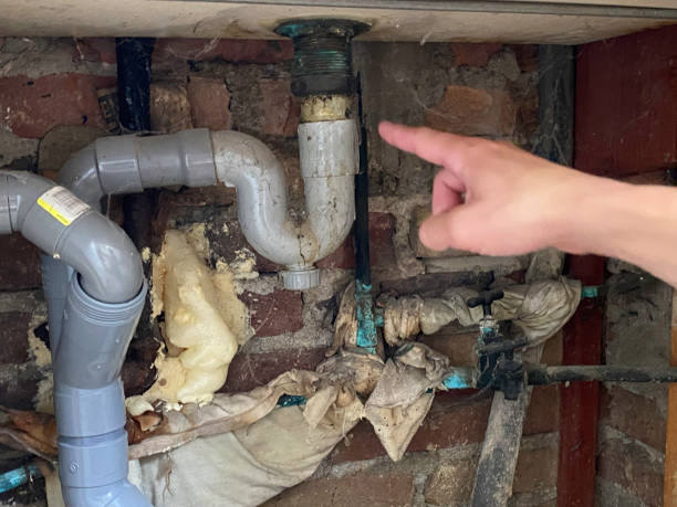 Best Mold removal after water damage  in Tubac, AZ